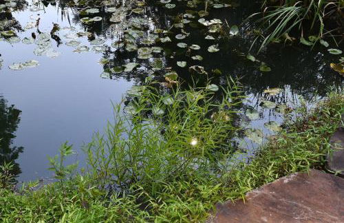 Mountain Meltdown - Pet Friendly, Grill, Wifi, Fire Pit, EV Station -Shared Space - Grill, Fire Pit, Covered Porch, Fountain Pond - Foto 36