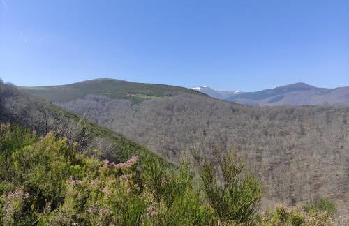 El rincón de Soto - Foto 42