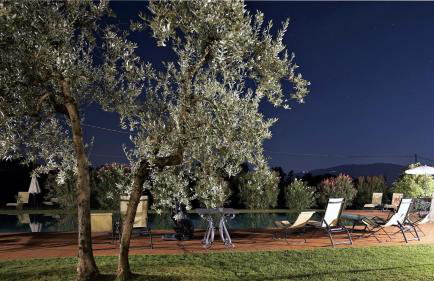Podere San Giusto - Foto 47