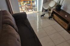 Casa Recanto - Foto 28