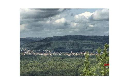 apartment Haus Renate Palatinate Forest - Foto 16