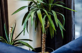 APARTAMENTY ARTE LUBLIN Unia Art Residence 121- faktura VAT garaż - Foto 7