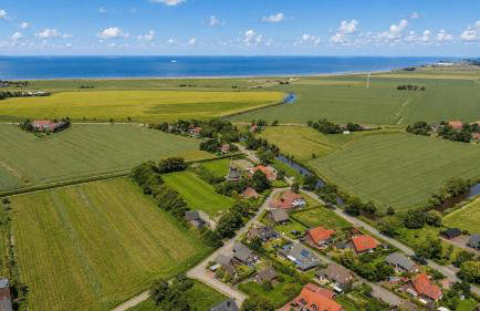 Ostfrieslandtraum - Foto 19