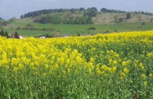 Holiday Home in Lissendorf by Forest - Foto 59