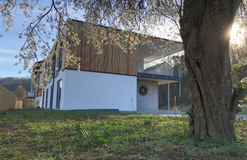 DAS GEORG Gästehaus in Epfendorf - Foto 36