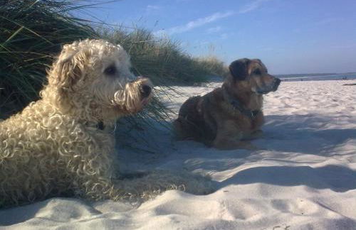 Apartment am Stettiner Haff - Foto 16