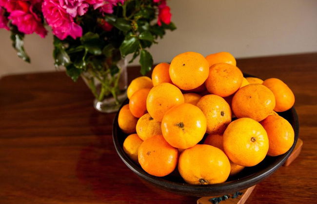 Relax A Lodge - Foto 25