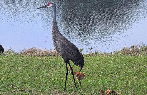 Our Sunset Getaway - Foto 34