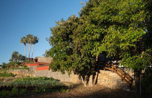 Finca Pico - Foto 36