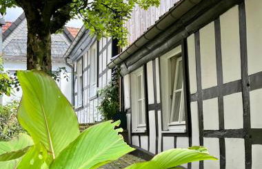 Lateinschule - Foto 29