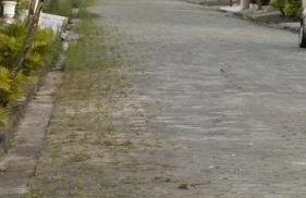 Boa vida a 300 metros da praia - Foto 47