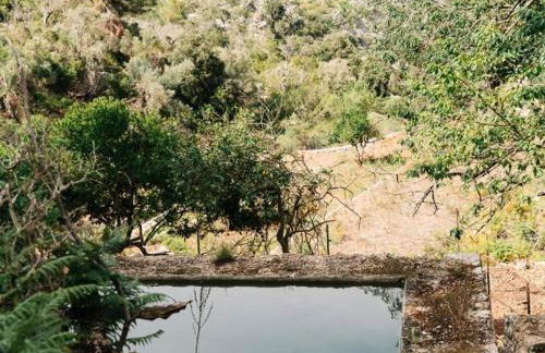 Finca Muntanya by SunVillas Mallorca - Foto 27