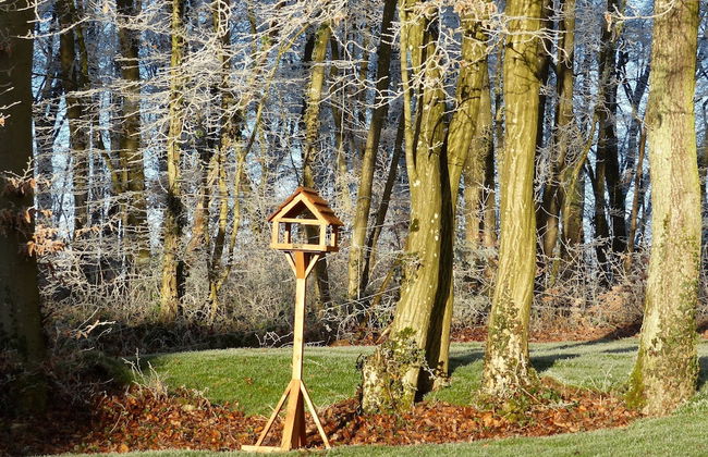 New House on the Edge of a Large Forest, Large Garden,very Quiet, Beautiful Area - Foto 28