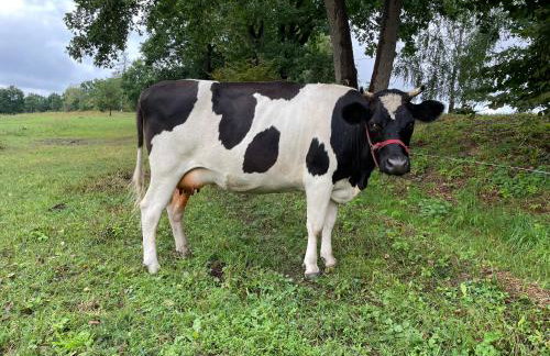 JZ Guest Ranch - Foto 37