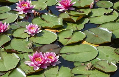 Rifugio Storico sul Mare - Foto 68