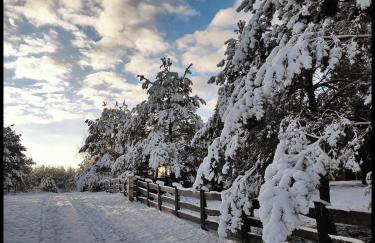 Hankówka Mazury - Foto 61