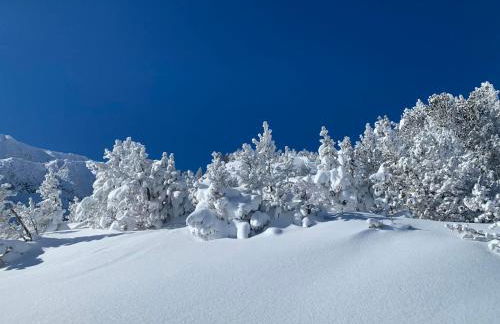 Studio MARMOTTE FONT-ROMEU 4 personnes avec balcon Résidence VAL SOLEIL entièrement rénové en juin 2021 place de PARKING & WIFI gratuit , draps & serviettes de toilettes non inclus, sabanas y toallas no incluidos - Foto 17