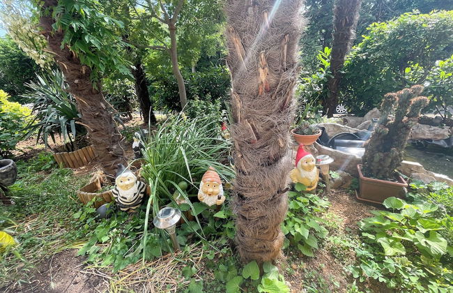 Apartman Oaza - Foto 27