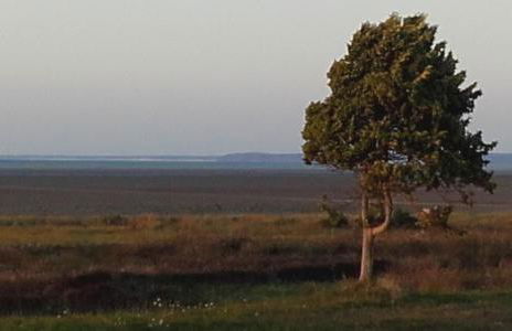 Chez Maria - Foto 30