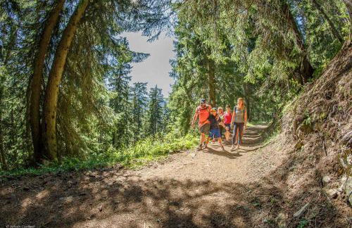 Chalet Arpitan - les Carroz - Grand Massif - Foto 63