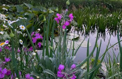 Casa Rural Goikola - Foto 74