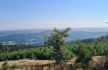 Haus Kellerwald - Ferienwohnung Kellerwald-Edersee - Foto 23