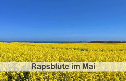 Fewo Anker im Gutshaus Hohen Wieschendorf, Entschleunigung pur für erholsame Tage - Foto 33