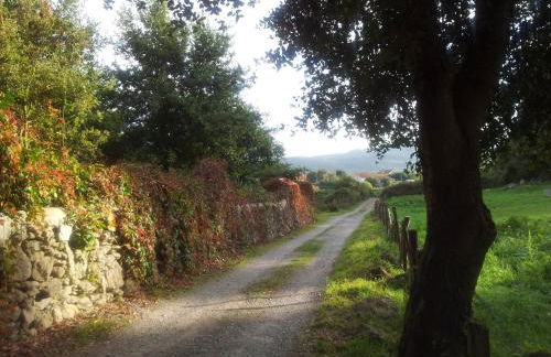 La Casona del Carmen - Foto 75