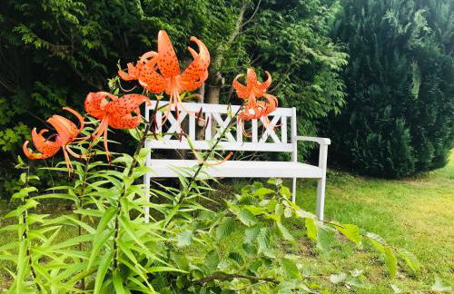 Ferienhaus Seemöwe - Foto 28