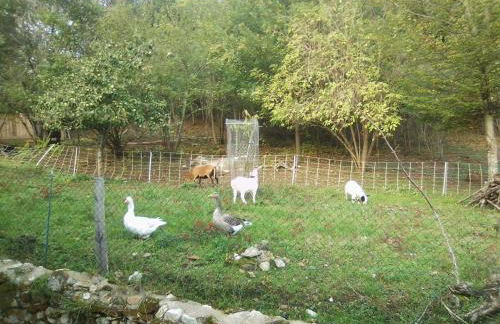 Small, discreet and bright townhouse - Foto 4