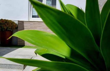 Apartamentos El Arrecife - Foto 12