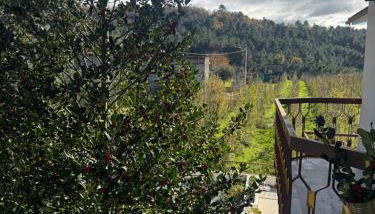 Casa Vicente - Photo 4