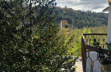 Casa Vicente - Foto 4