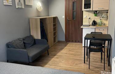 Domki całoroczne - u Ptaka - Miłków - Foto 5