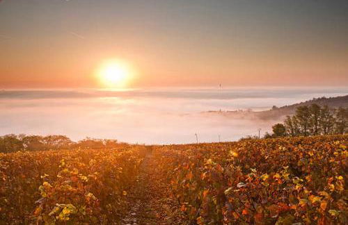 Le Logis des Ais - Foto 29