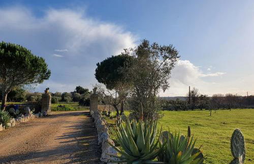 Agriturismo Le Cupole - Foto 53