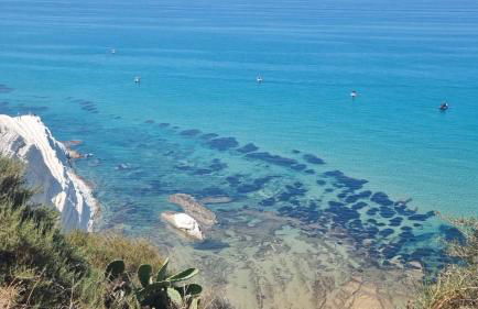 ZAGARA Home - Foto 52