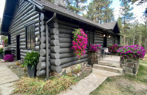 Historic Log Cabin #14 at Horse Creek Resort - Foto 3