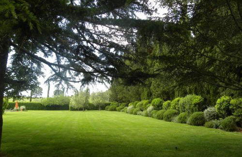 Ghiaccio Bosco - Foto 66