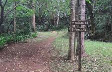 Ap centro cascatinha prox parque - Foto 17