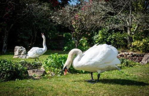 Quinta de Mourães Casa dos Rododendros - Foto 62