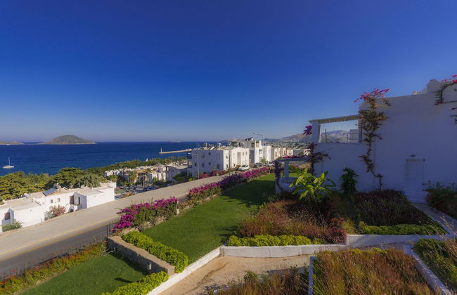 Sunset Mavi - Foto 24