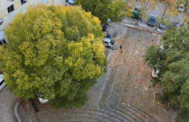 DhaliHOUSE - Foto 40