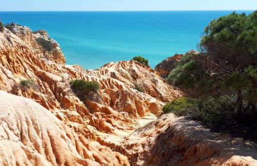 Amélia - Always Algarve - Foto 35