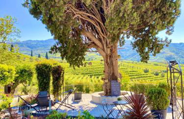 Quinta da Salada - Turismo Rural - Foto 48