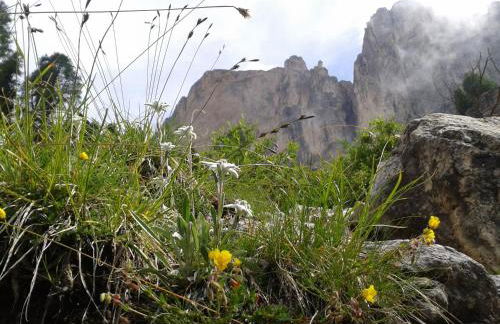 Apartments Haus Martin - Foto 26