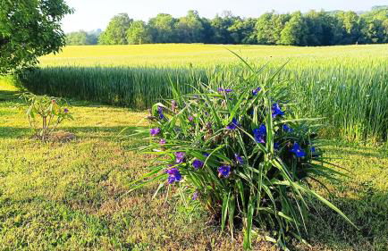 La Pause nature en Périgord - Foto 27