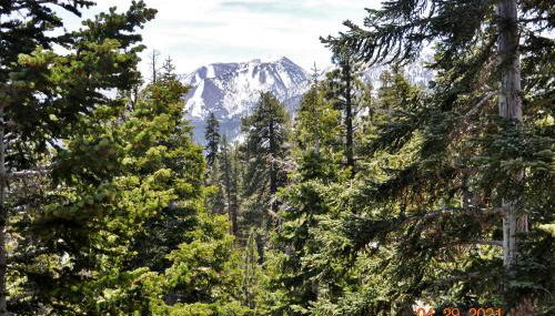 Mammoth Ski Racquet Club 54 - Foto 4, Other