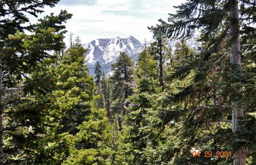 Mammoth Ski Racquet Club 54 - Foto 4