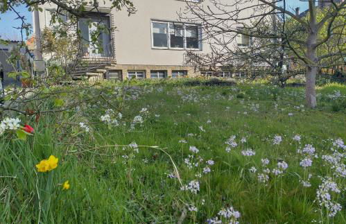 Ferienwohnung Melba - Foto 23